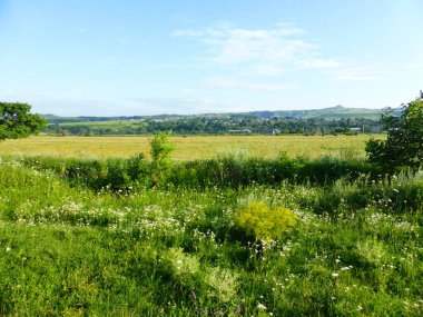 Stavropol bölgesinin Foothill bölgesinde. Rusya