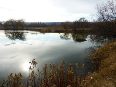 Gölet, gökyüzü, bulutlar, yansıma, sazlık