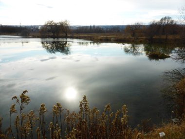Gölet, gökyüzü, bulutlar, yansıma, sazlık