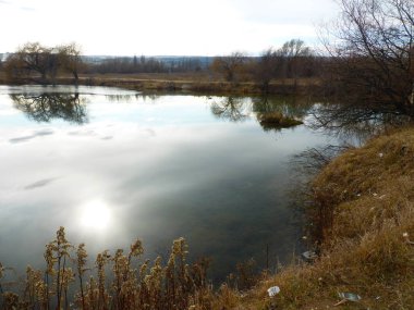 Gölet, gökyüzü, bulutlar, yansıma, sazlık