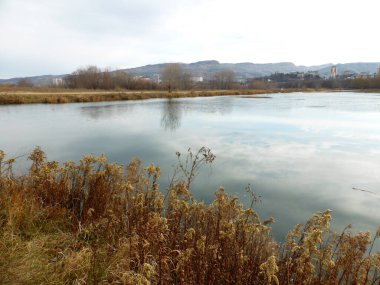 Gölet, gökyüzü, bulutlar, yansıma, sazlık