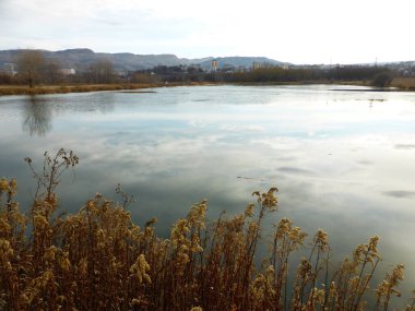 Gölet, gökyüzü, bulutlar, yansıma, sazlık