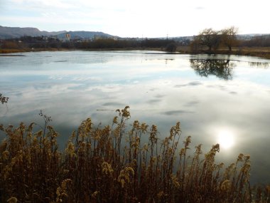 Gölet, gökyüzü, bulutlar, yansıma, sazlık