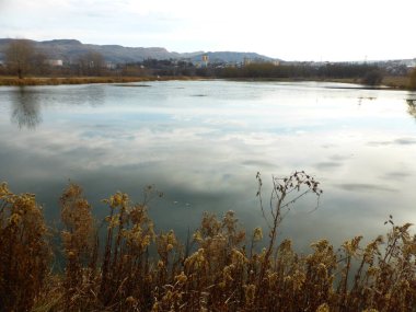 Gölet, gökyüzü, bulutlar, yansıma, sazlık