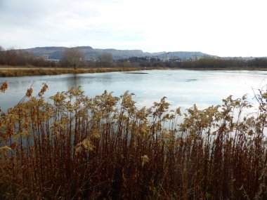 Gölet, gökyüzü, bulutlar, yansıma, sazlık