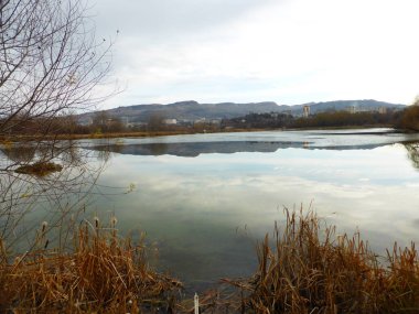 Gölet, gökyüzü, bulutlar, yansıma, sazlık