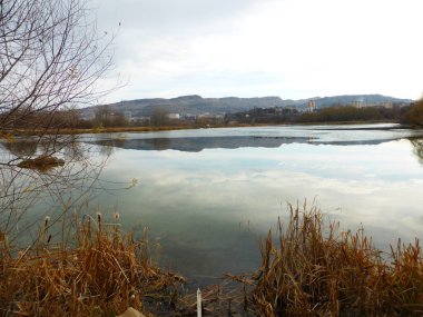 Gölet, gökyüzü, bulutlar, yansıma, sazlık