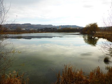 Gölet, gökyüzü, bulutlar, yansıma, sazlık