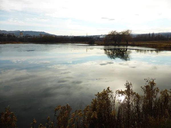 Gölet, gökyüzü, bulutlar, yansıma, sazlık