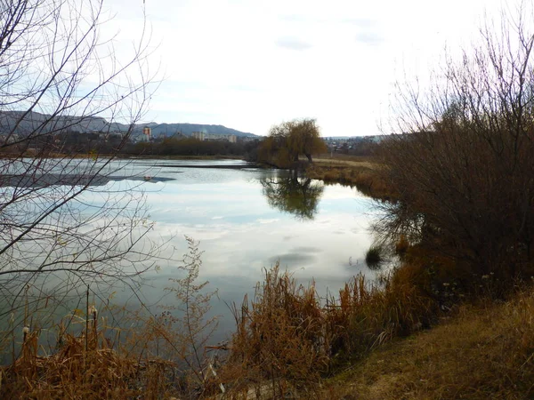 Pond Sky Clouds Reflection Reed — Stock Photo, Image