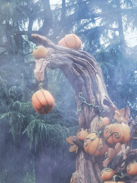 Halloween Tök Borítja Horror Horror Hangulat Szemek Száj Vágott Narancs — Stock Fotó