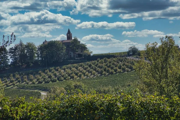 Landscapes Piedmontese Langhe Colors Autumn Harvest Period — Stock Photo, Image