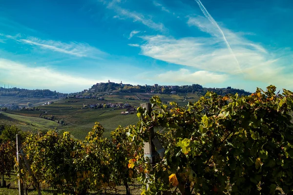 Szőlőültetvények Piemonte Langhe Ősszel Idején Szőlőszüret — Stock Fotó