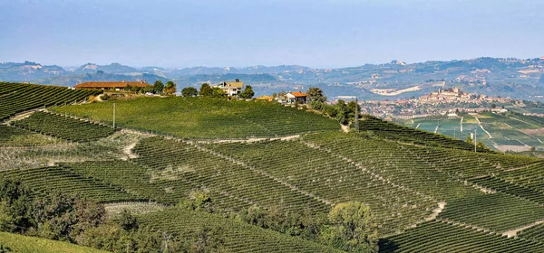 Paisagens Piemonte Langhe Durante Colheita Com Cores Brilhantes Outono — Fotografia de Stock