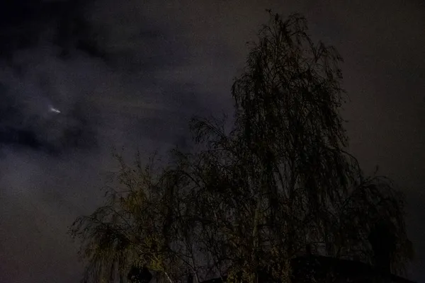 在恐怖的夜晚 有一棵光秃秃的树的风景 — 图库照片