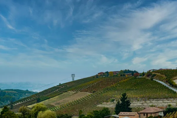 Los Viñedos Langhe Piamontés Otoño Momento Vendimia —  Fotos de Stock