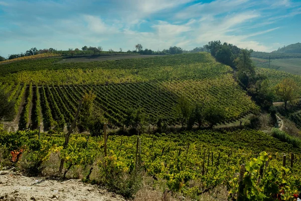 Las Colinas Llenas Viñedos Santo Stefano Belbo Zona Vino Moscatel —  Fotos de Stock