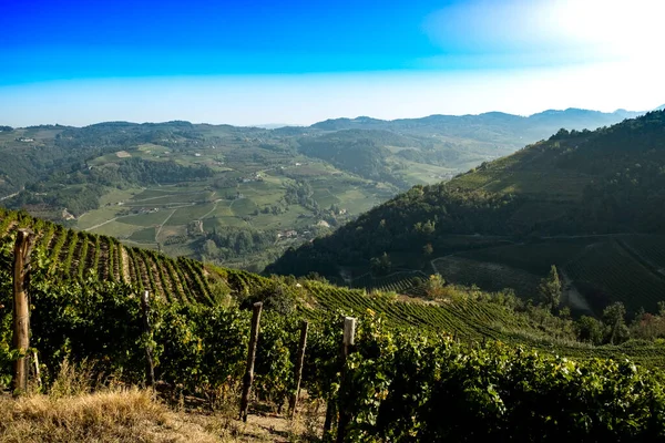 Hills Full Vineyards Santo Stefano Belbo Area Muscat Wine Piedmont — Stock Photo, Image
