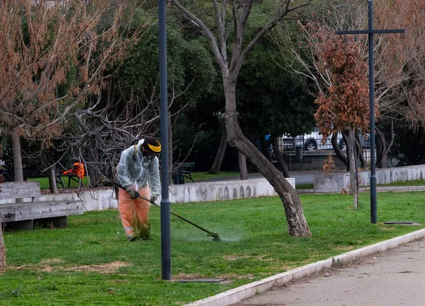 workers engaged in cutting the grass with a brush cutter in the municipal parks of the Ligurian Riviera in Italy