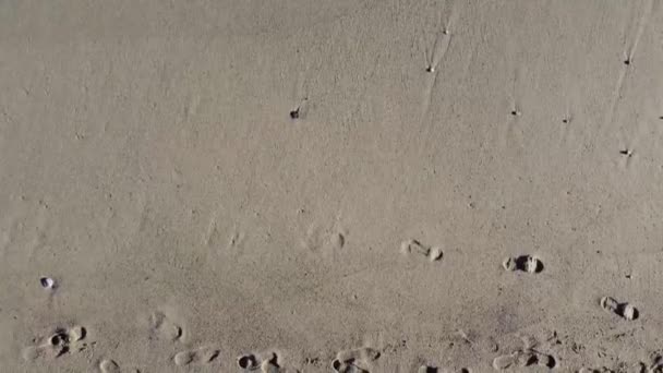 Girl Walks Slowly Sand Leaving Footprints Winter Day 2021 Italian — Stock Video