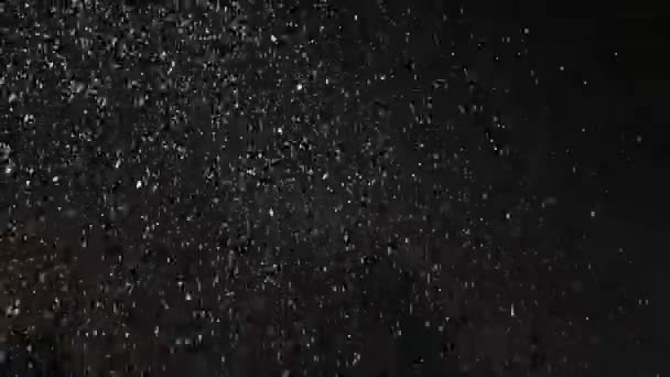 夜の降雪のビデオです 夜の闇に白い雪の結晶が落ち — ストック動画