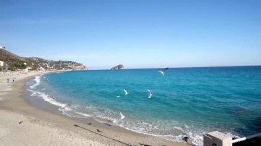 Martılar denizi aşıp, Lekorno sahilinin yakınına, batı ligurian Riviera, İtalya 'ya uçuyorlar.