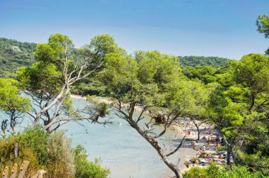 Fransa 'daki Fransız Rivierası (Hyeres) açıklarındaki Porquerolles Adası' nın güzel plajları. Karayipler adalarına benzeyen bir ada.
