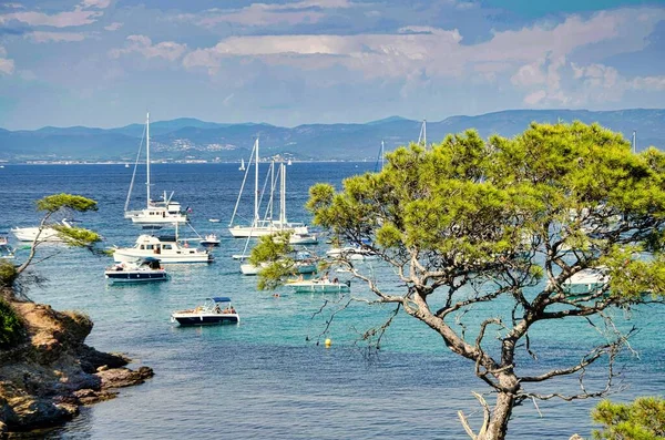 Porquerolles adasının görkemli kumlu plajları, Fransa 'nın hiers. Avrupa 'daki Karayip Denizi