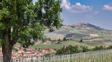 Barolo Kalesi, Langhe 'de bir tatil merkezi ve ünlü Barolo şarabının üreticisi.