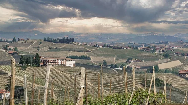 Barolo Monforte Alba Piemonti Langhe Tájai 2022 Tavaszán — Stock Fotó