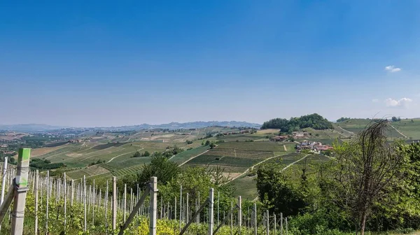 Τοπία Του Piedmontese Langhe Του Barolo Και Του Monforte Alba — Φωτογραφία Αρχείου