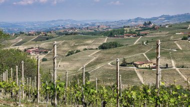 2022 ilkbaharında Barolo ve Monforte d 'Alba Piedmontese Langhe manzaraları