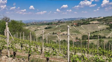 2022 ilkbaharında Barolo ve Monforte d 'Alba Piedmontese Langhe manzaraları