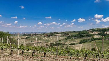 2022 baharında Barolo ve Monforte d 'Alba arasındaki Piedmontese Langhe.