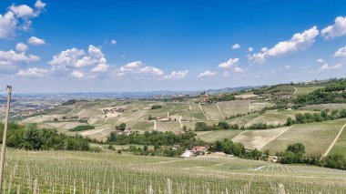 2022 baharında Barolo ve Monforte d 'Alba arasındaki Piedmontese Langhe.