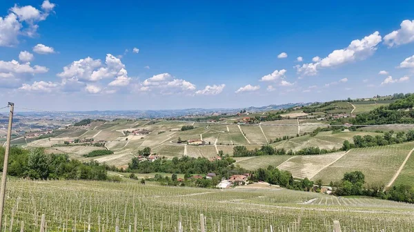 Les Langhe Piémontaises Entre Barolo Monforte Alba Printemps 2022 — Photo