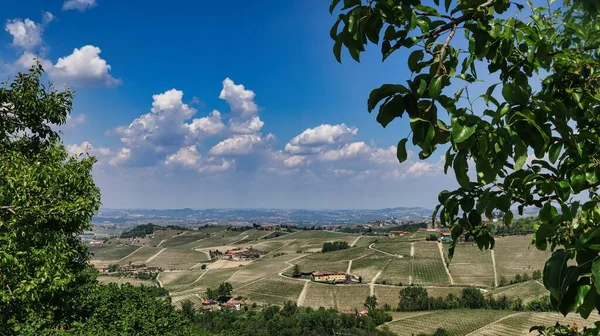 Piemontês Langhe Entre Barolo Monforte Alba Primavera 2022 — Fotografia de Stock