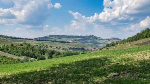 2022 baharında Barolo ve Monforte d 'Alba' nın Piedmontese Langhe 'si