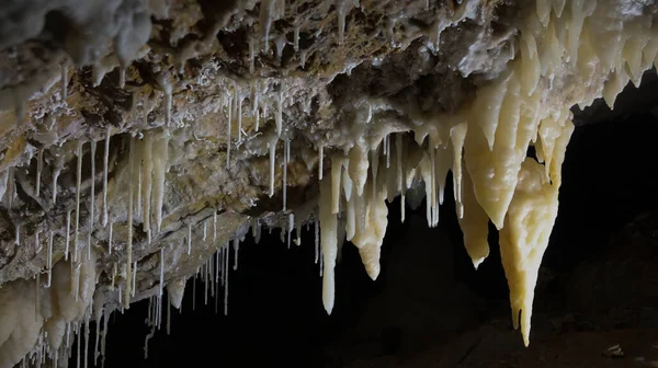 Caves Borgio Verezzi Its Stalactites Stalagmites Its Millenary History Heart — Stock Photo, Image