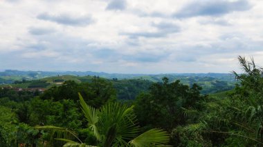 Haziran 2022 'de bir mangialonga sırasında Piedmontese langhe' deki Mont d 'Alba üzüm bağları