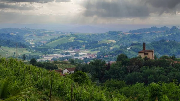 Vineyards Mont Alba Piedmontese Langhe Mangialonga June 2022 — 스톡 사진