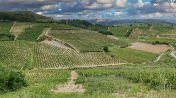 Landscapes Mont Alba Piedmontese Langhe Mangialonga 2022 — Photo