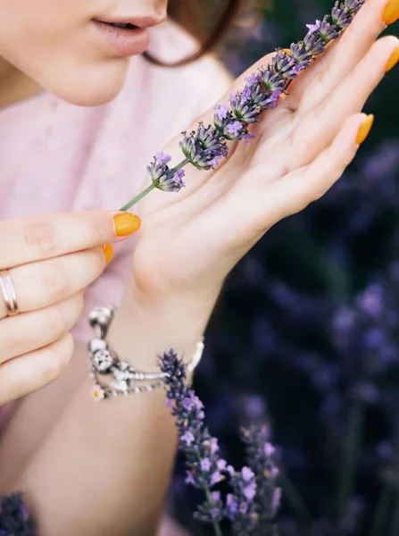 Κορίτσι χέρι κρατώντας όμορφα λουλούδια λεβάντα σε ηλιόλουστο φως στο λιβάδι. Αρωματικά βότανα. Ατμοσφαιρική ήρεμη αγροτική εικόνα. Γυναικείο χέρι που κρατάει ένα μπουκέτο καλοκαιρινά λουλούδια. — Φωτογραφία Αρχείου