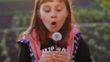 Beautiful Young Child in green grass blowing dandelion at sunset. Outdoors. Enjoy Nature. Healthy Smiling Girl on summer lawn. Allergy free concept. Gorgeous slim mixed race caucasian female