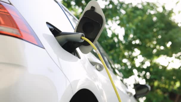 Charging Electric Car Environmentally Friendly Electric Car Being Charged Car — Vídeos de Stock