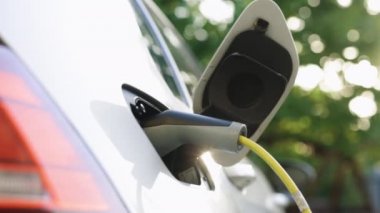 Elektrikli hibrit araba park yerindeki elektrik kablosuyla pilleri şarj ediyor. Elektrikli araba yükleniyor. Araçlar yenilenebilir enerji kullanıyor. Elektrikli araç şarj portu fişi takılı.
