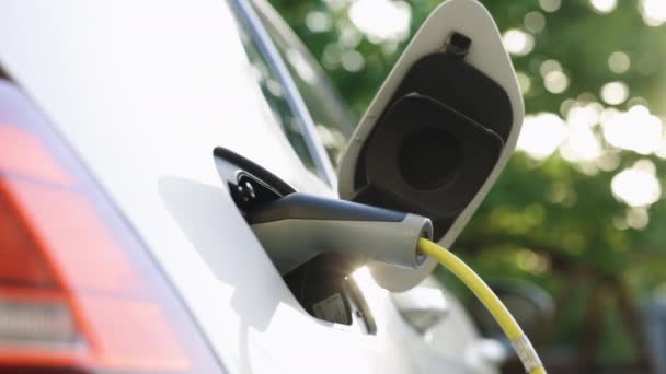 Electric Hybrid Car Charging Batteries Electricity Power Cable Parking Lot — Vídeo de stock
