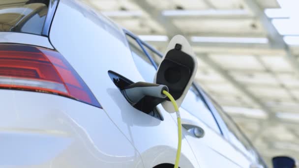 Unrecognizable Female Unplugging Electric Car Cable Woman Hands Disconnects Plug — 图库视频影像