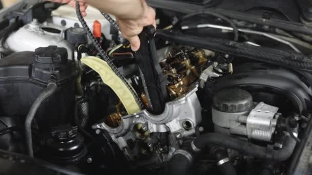 Car Mechanic Repair Engine Car Service Unrecognizable Mechanic Repairing Automobile — Vídeo de stock