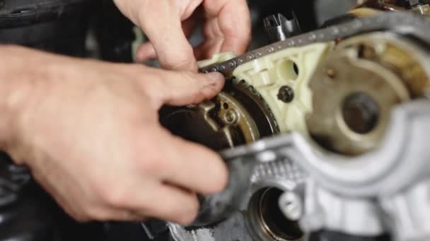 Unrecognizable Mechanic Repairing Automobile Motor Auto Master Fixing Engine Vehicle — Vídeo de stock